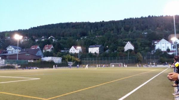 Reinhold-Fleckenstein-Stadion Nebenplatz - Nagold