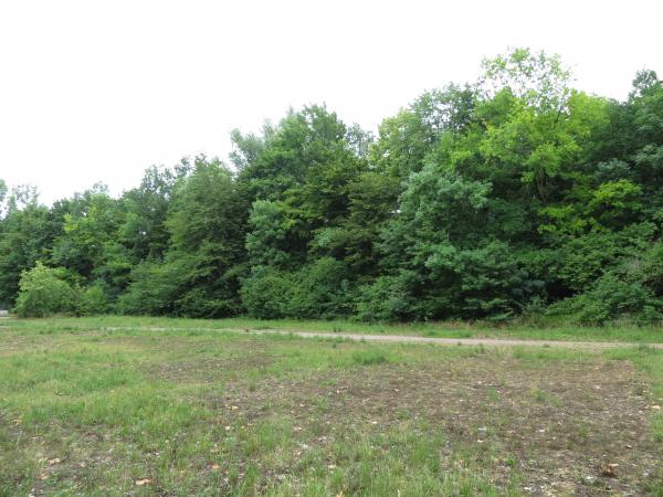 Stadion am Sandberg - Bedburg-Broich