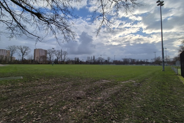 Sportanlage Bachgraben Platz 6 - Allschwil