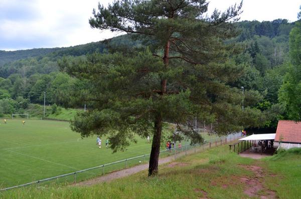 Sportplatz Löwenthal - Eschbach/Pfalz