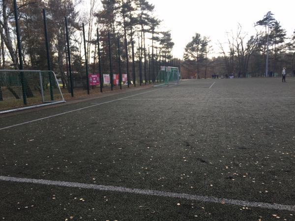 Julius-Hirsch-Sportanlage Platz 2 - Berlin-Charlottenburg