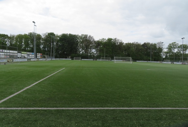 Sportpark De Boshoek veld 5 - Hardenberg