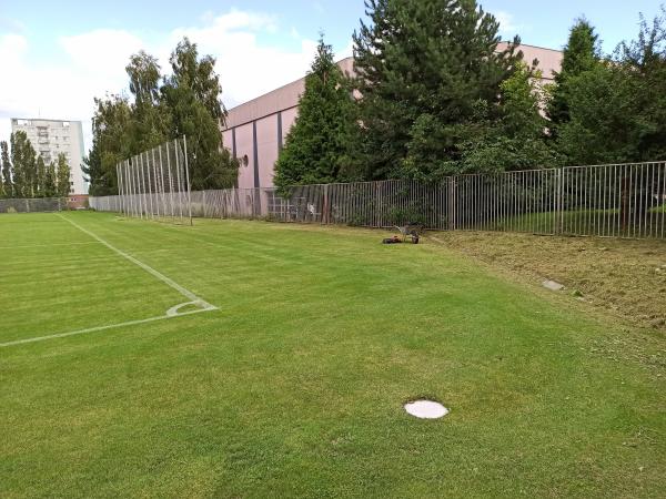 Hřiště u mėstské haly vodova č. 2 - Brno-Královo Pole