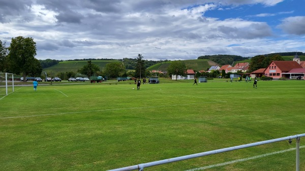 Sportanlage Untereisenheim - Eisenheim-Untereisenheim