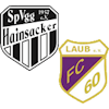 Wappen SG Hainsacker II / Laub II (Ground B)