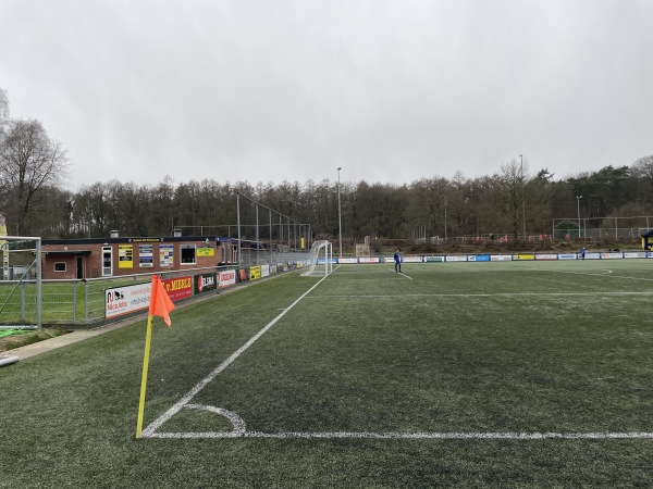 Sportpark De Pinkenberg veld 3-DVOV / Veluwezoom - Rozendaal