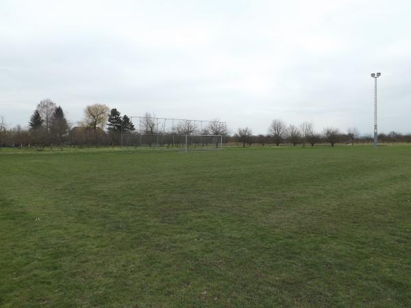 Sportanlage Viehweiderweg Platz 2 - Neuried/Baden-Altenheim