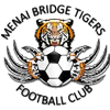 Wappen Menai Bridge Tigers FC