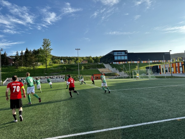 Fjell skole idrettsplass - Drammen