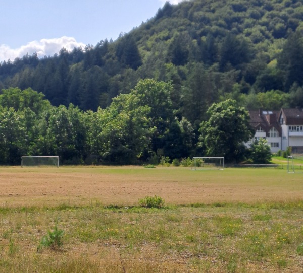 Sportplatz Bildungs- und Freizeitstätte Heilsbach - Schönau/Pfalz
