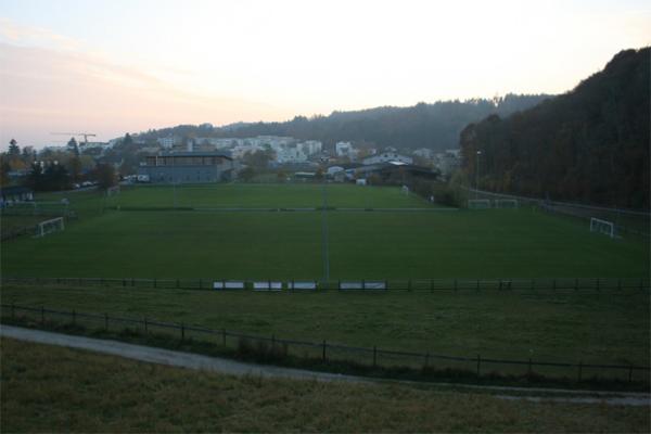 Alter Zustand (Naturrasen)