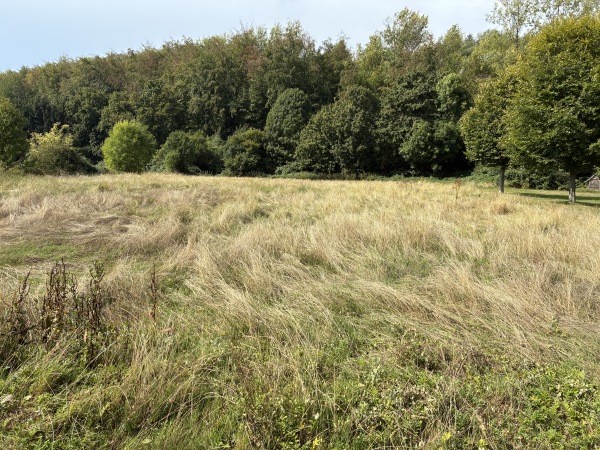 Sportplatz Allrath - Grevenbroich-Allrath