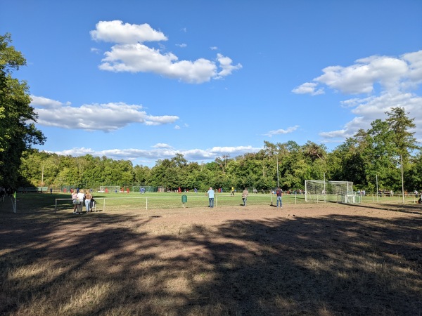 Sportplatz Hesselnberg - Calden-Meimbressen