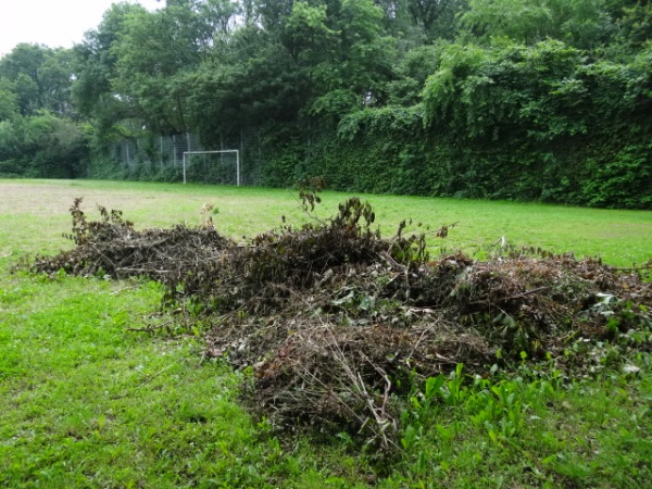 Sportplatz Charlottenburger Park - Recklinghausen-Hochlarmark