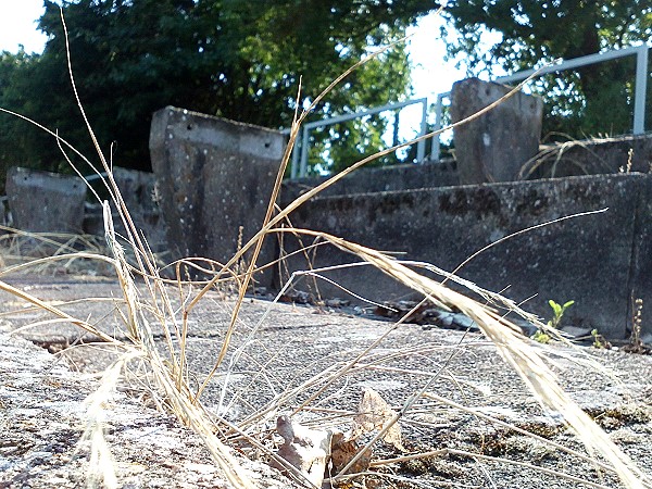 Sportplatz am Kochslandweg - Garbsen