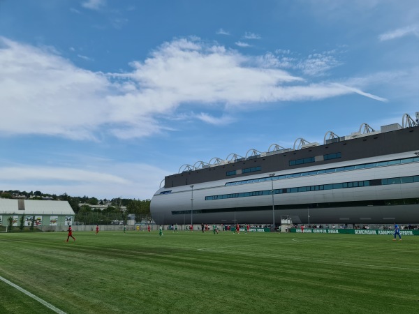 Allianz Stadion Trainingsplatz West 1 - Wien