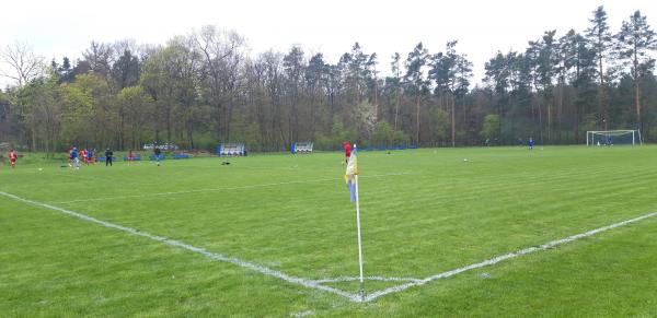 Boisko w Miłoradzice - Miłoradzice