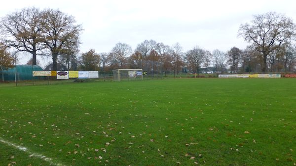 SwanCity-Arena - Kiebitzreihe