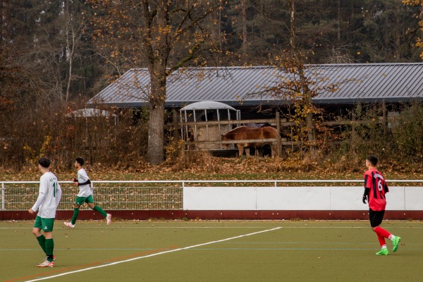 Hockeyplatz Im Friedengrund - Villingen-Schwenningen