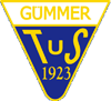 Wappen TuS Gümmer 1923 diverse  79123