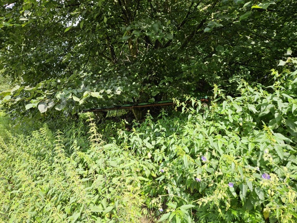 Boisko Pawłowiczki - Pawłowiczki