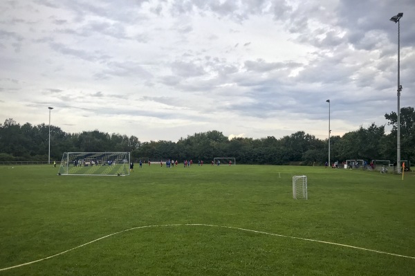 Sportplatz Blau-Gelb - Darmstadt-Kranichstein