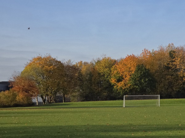 Co-op Academy Belle Vue Football Pitch - Manchester, Greater Manchester