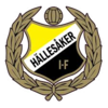 Wappen Hällesåker IF