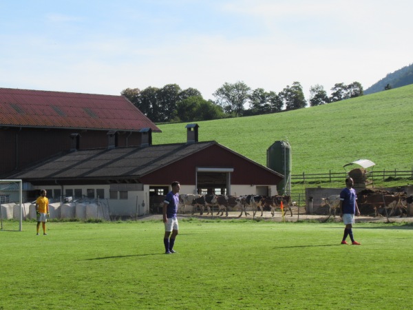 Terrain de la Suze - Villeret