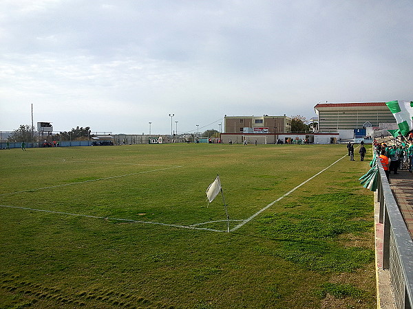 Municipal Stadium Daliyat El Carmel - Daliyat El Carmel