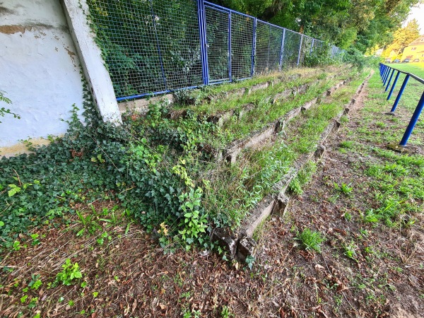 Sportplatz Kienfichten - Dessau-Roßlau
