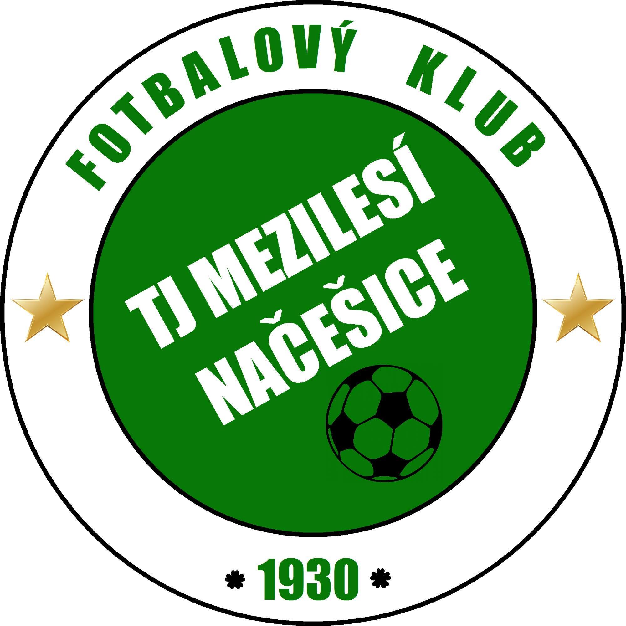 Wappen TJ Mezilesí Načešice