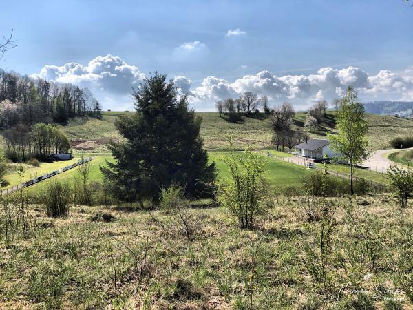 Sportanlage Schluchtgraben - Haigerloch-Stetten