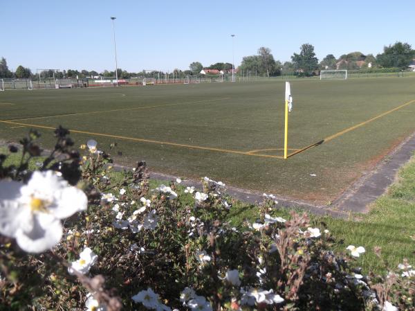 Dr.-Fritz-Fröhlich-Stadion Nebenplatz - Regis-Breitlingen