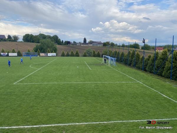 Boisko w Kocmyrzówie - Kocmyrzów