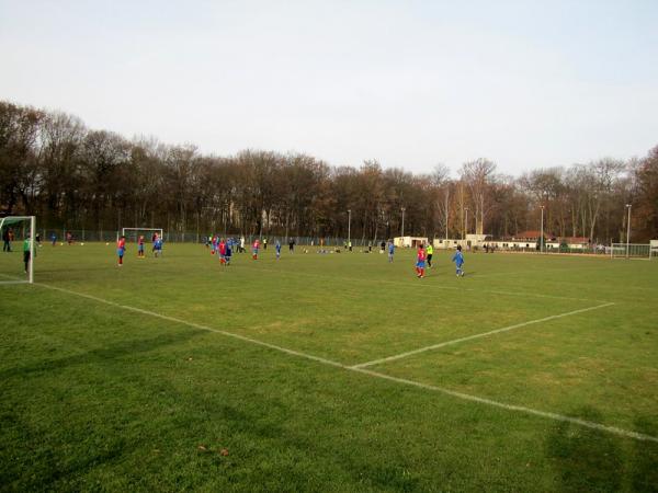 Sportanlage Nonnenwiese Platz 2 - Leipzig-Schleußig