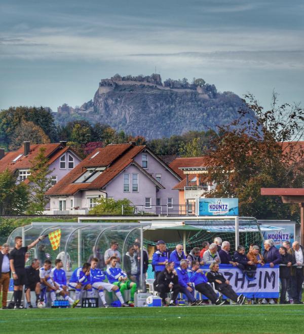 Sportanlage an den Talwiesen Fußballplatz 2 - Rielasingen-Worblingen