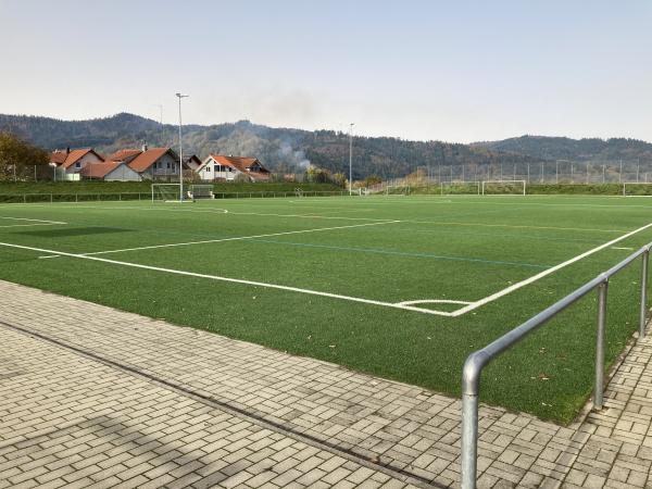 Bahndammstadion Nebenplatz - Biberach/Baden