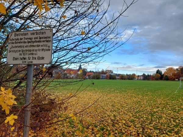 Sportplatz an der Schützenhalle 3 - Schloß Holte-Stukenbrock-Liemke