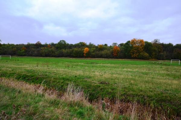 Sportplatz Unter den Weiden - Halberstadt-Langenstein