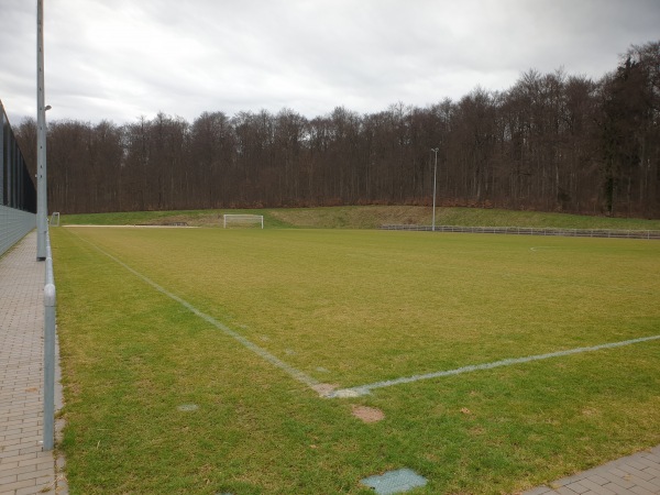 Waldstadion Nebenplatz - Laichingen