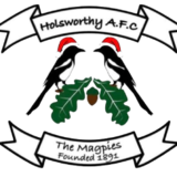 Wappen Holsworthy AFC  87458