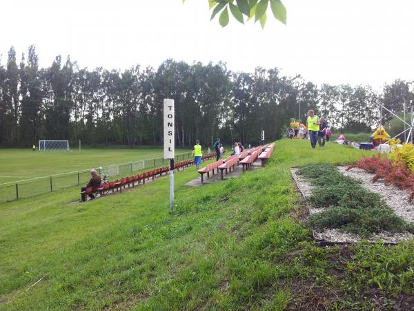 Stadion Miejski w Strzemieszycach - Strzemieszyce