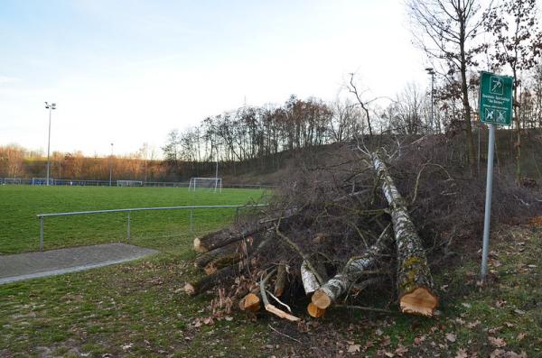 Sportgelände am Dormeswald Platz 3 - Goldbach/Unterfranken