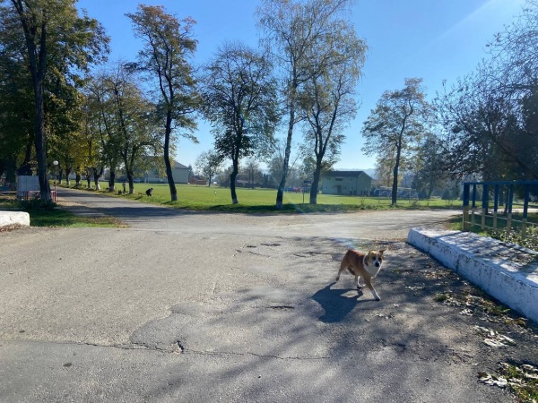 Stadion Kameniar - Voskresyntsi