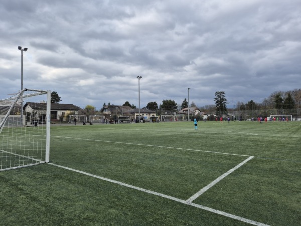 Stade des Fraisiers terrain B - Grand-Lancy