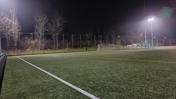 Sportplatz Union Mauer Platz 2 - Wien