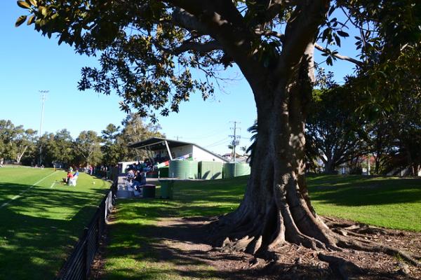 Adamstown Oval - Newcastle