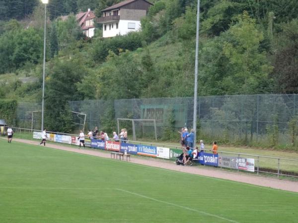 Sportzentrum Hornberg - Hornberg