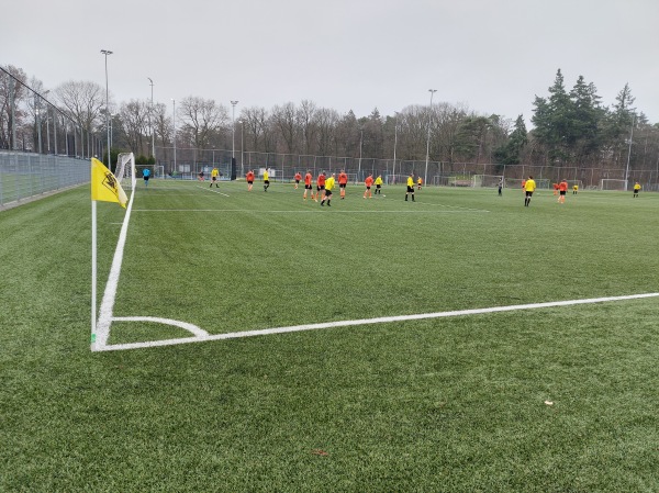 Sportpark de Raay veld 4 - Overloon